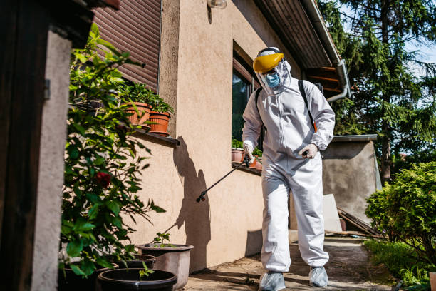 Best Best Pest Control Companies  in Baltimore, MD