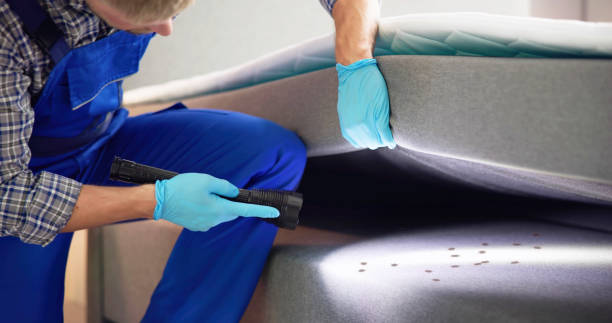 Best Wasp Removal Services  in Baltimore, MD