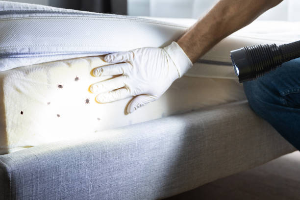 Best Pest Prevention Services  in Baltimore, MD