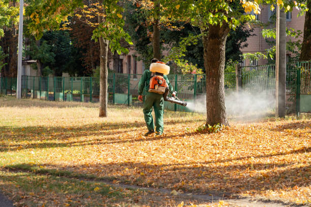  Baltimore, MD Pest Control Pros