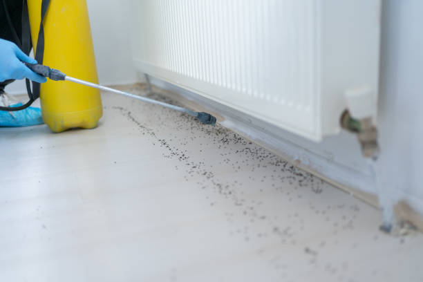 Best Pest Removal Services  in Baltimore, MD