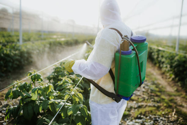 Best Residential Pest Control  in Baltimore, MD